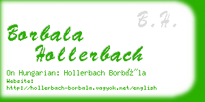 borbala hollerbach business card